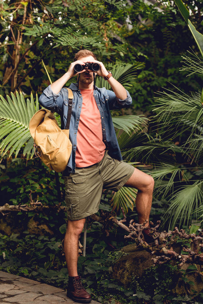 взрослый путешественник с рюкзаком смотрит через бинокль в тропическом зеленом лесу
 - Фото, изображение