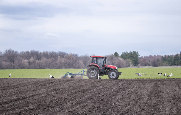 Landwirte bereiten Land vor und düngen es mit dem Traktor. Bauern bereiten Land für die Saat vor. - Foto, Bild