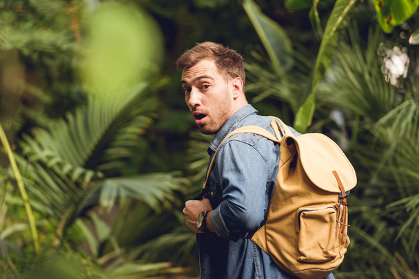 selective focus of shocked traveler with backpack walking  in green tropical forest - Foto, imagen