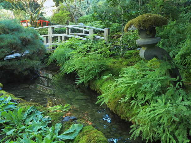 Japanse Tuin - Foto, afbeelding