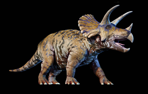 Triceratops siyah arka plan üzerine 3d render - Fotoğraf, Görsel
