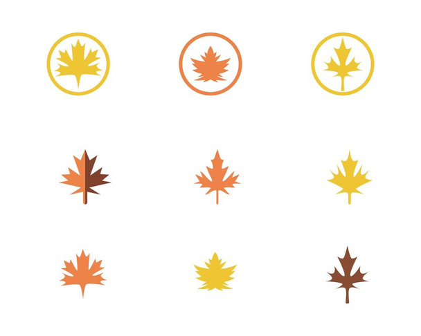 Maple leaf vektoros illusztráció - Vektor, kép