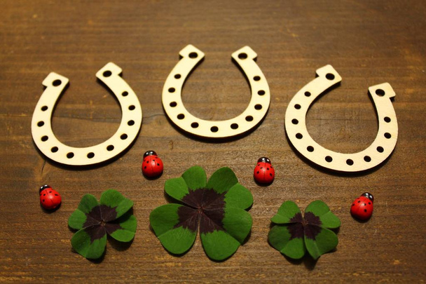 horseshoe, lucky clover and ladybirds - Photo, Image