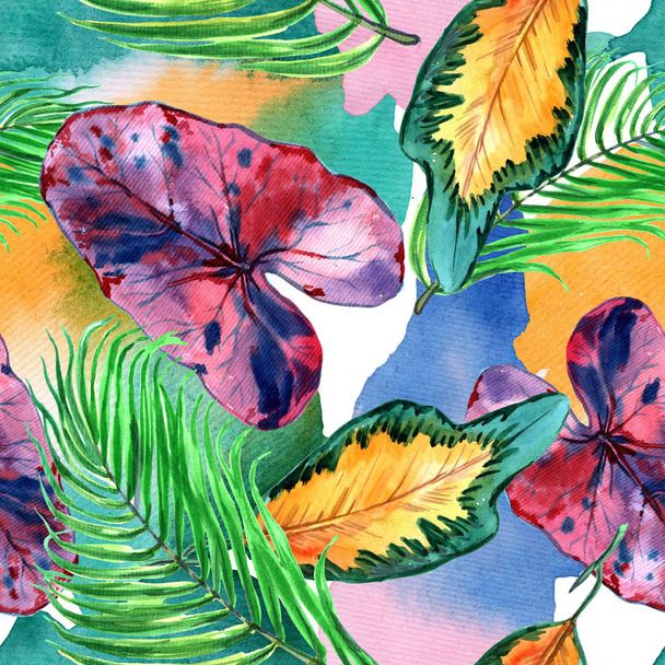 Τροπική Χαβάη φύλλα σε στυλ υδατογραφίας. Ακουαρέλα άγριο λουλούδι για φόντο, υφή, μοτίβο περιτύλιγμα, πλαίσιο ή στα σύνορα. -Εικονογράφηση - Φωτογραφία, εικόνα