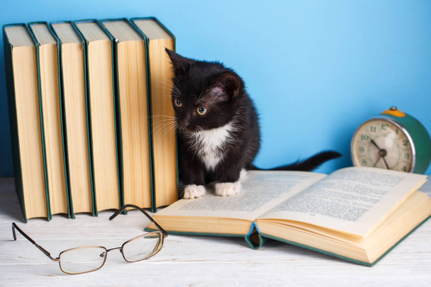 die Katze sitzt in einem offenen Buch - Foto, Bild