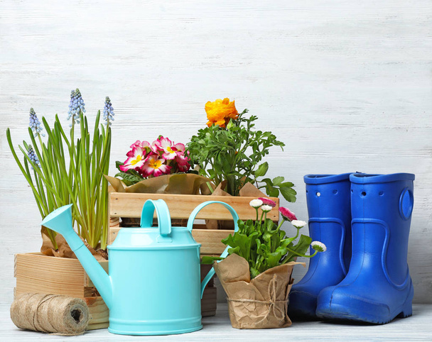 Composition with plants and gardening tools on table against wooden background - Foto, Imagen