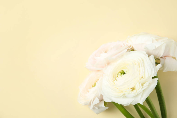 Beautiful ranunculus flowers on color background, top view. Space for text - Valokuva, kuva
