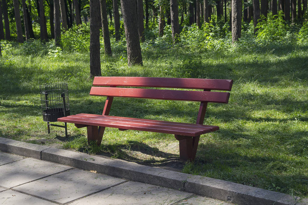 夏の公園で太陽に照らされた木製のベンチ - 写真・画像