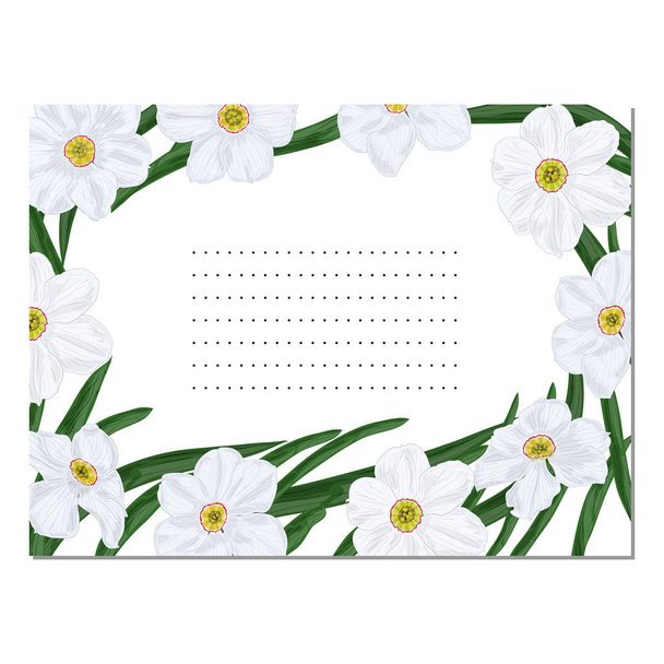 Wenskaart met botanische ornament. Vector afbeelding van witte narcissen bloemen met groene bladeren. Regels met stippellijnen voor tekst. - Vector, afbeelding