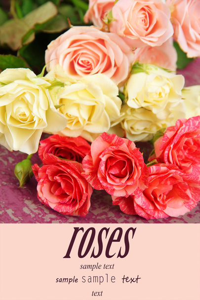 Beautiful colorful roses close-up, on color background - Foto, Bild