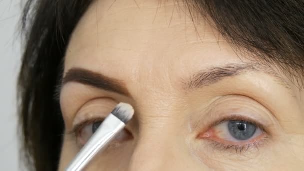 A special brush paints eyebrows with eyebrow shadows. Close view. Professional make-up artist doing makeup to middle-aged adult woman with beautiful blue eyes. - Footage, Video