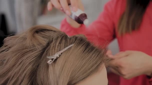 Professional hairdresser does a girls hairstyle for a photo shoot. - Footage, Video