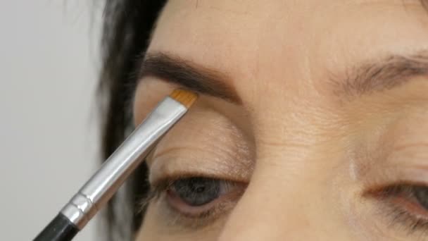 A special brush paints eyebrows with eyebrow shadows. Close view. Professional make-up artist doing makeup to middle-aged adult woman with beautiful blue eyes. - Footage, Video