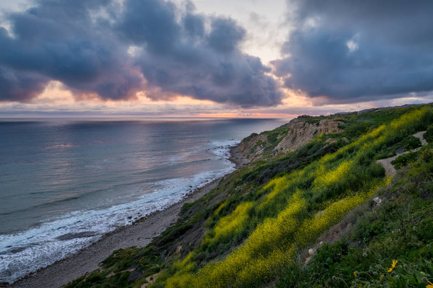 Pôr-do-sol dramático na Reserva Ocean Trails
 - Foto, Imagem