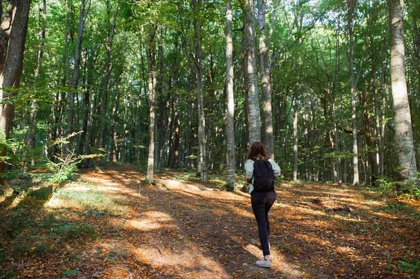 Achteraanzicht van de jonge vrouw het nemen van een wandeling in het bos, het dragen van een rugzak in het bos op zonsondergang licht in het herfst seizoen. - Foto, afbeelding