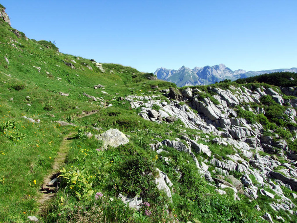 Αλπικά λιβάδια και τα λιβάδια στις πλαγιές της Alviergruppe οροσειράς - καντόνιο του St Gallen, Ελβετία - Φωτογραφία, εικόνα