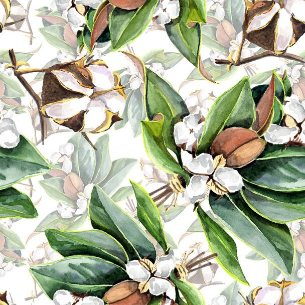 Wildflower cotton flower in a watercolor. Full name of the plant: cotton. Aquarelle wild flower for background, texture, wrapper pattern, frame or border. - Illustration - 写真・画像
