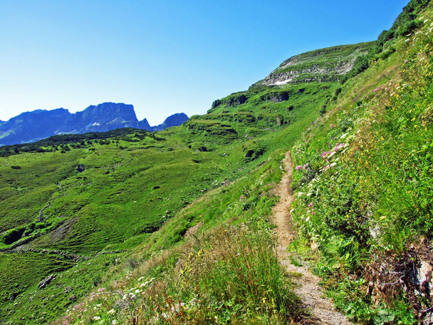 Αλπικά λιβάδια και τα λιβάδια στις πλαγιές της Alviergruppe οροσειράς - καντόνιο του St Gallen, Ελβετία - Φωτογραφία, εικόνα