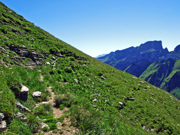 Alpenweiden en weiden op de hellingen van de Alviergruppe bergketen - kanton St. Gallen, Zwitserland - Foto, afbeelding