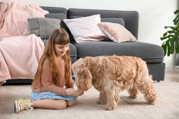 Pieni tyttö antaa maitoa koiralleen ja läikyttää sitä matolle
 - Valokuva, kuva