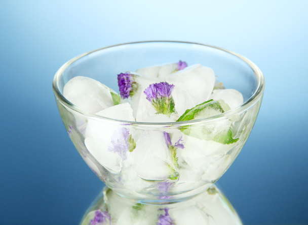 Ice cubes with flowers and herbs in bowl, on blue background - Zdjęcie, obraz