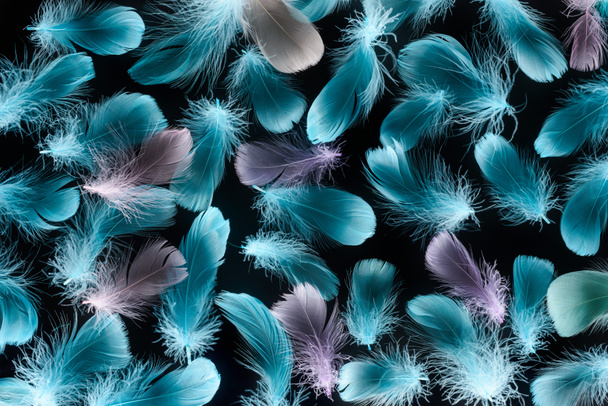seamless background with multicolored lightweight plumes isolated on black - Photo, Image