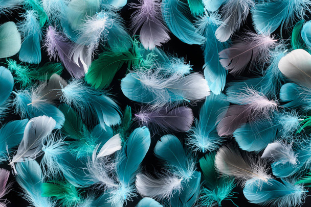 fondo sin costuras con plumas ligeras multicolores aisladas en negro
 - Foto, Imagen