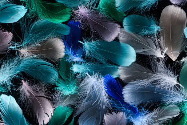 seamless background with multicolored bright plumes isolated on black - Φωτογραφία, εικόνα