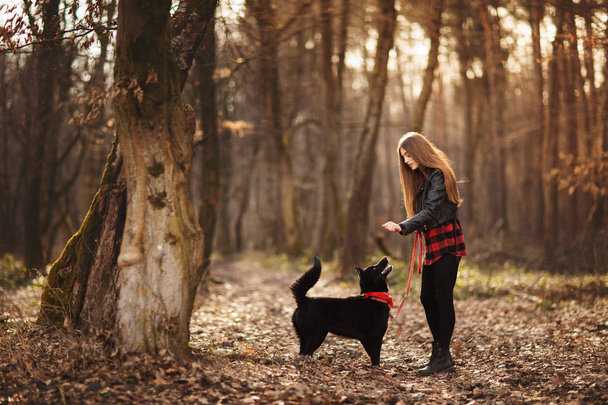 美しい女性が彼女の犬を屋外になでる。かわいい女の子が遊んで、名前で彼女のペットとの楽しみを持って Brovko Vivchar - 写真・画像