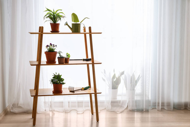 Rack with fresh plants and gardening tools in room - Photo, Image