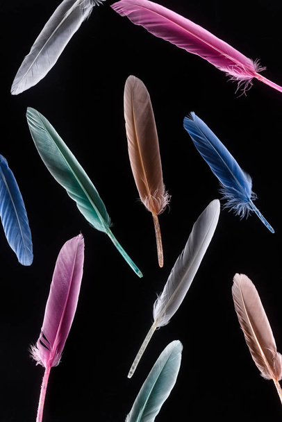seamless background with bright soft colorful feathers isolated on black - Photo, Image