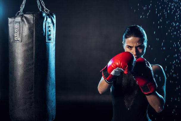 Concentrated boxer in red boxing gloves standing under water drops on black - Photo, Image