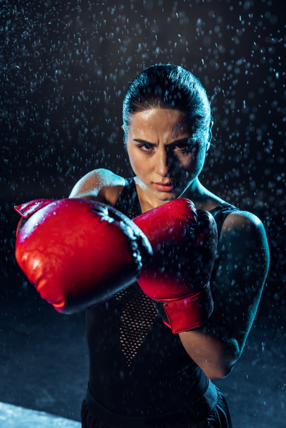 Boxer concentré en gants de boxe rouge debout sous des gouttes d'eau sur fond noir
 - Photo, image
