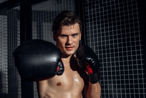 Confident boxer in black boxing gloves training and looking at camera - Фото, изображение