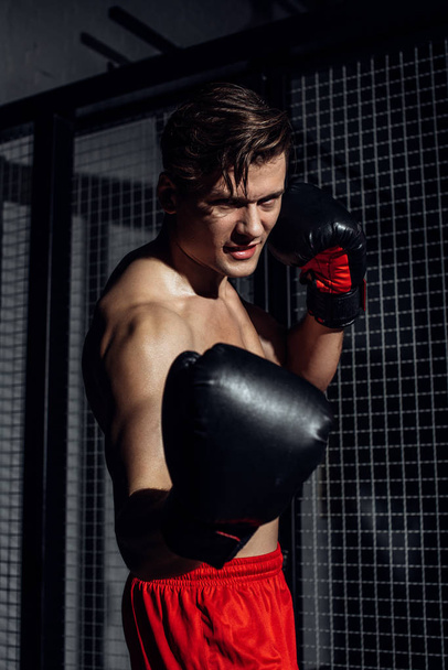 Handsome boxer in black boxing gloves training with smile - Фото, зображення