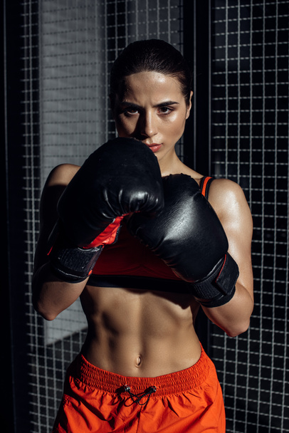Front view of concentrated boxer in boxing gloves looking at camera - Photo, Image