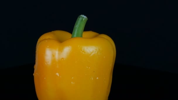Čerstvá sladká žlutá paprikou na černém pozadí a zrcadlové povrchy - Záběry, video