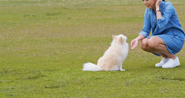 Femme jouer avec son chien poméranien au parc
 - Photo, image