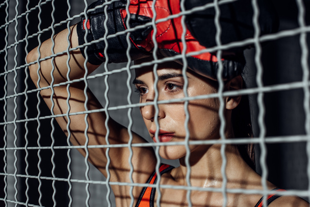 Attractive boxer standing behind wire netting and looking away - Фото, зображення