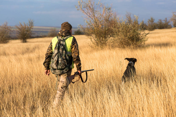 Hunter with a german drathaar and spaniel, pigeon hunting with dogs in reflective vests - Fotó, kép