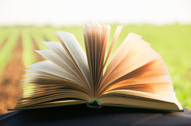 Θερινό backgound με ανοιχτό βιβλίο και bokeh - Φωτογραφία, εικόνα