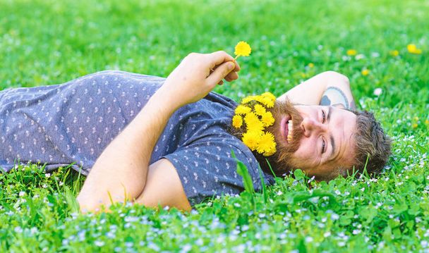 Natural beauty concept. Hipster with bouquet of dandelions in beard relaxing. Bearded man with dandelion flowers lay on meadow, grass background. Man with beard on smiling face enjoy nature - Zdjęcie, obraz