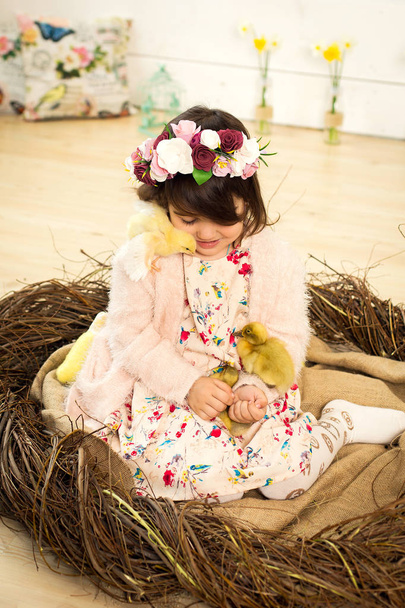 happy little girl in a dress sits in a nest and holds cute fluff - Фото, изображение
