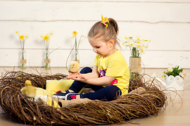 happy little girl sits in a nest and holds cute fluffy easter ducklings on her hands - Foto, immagini