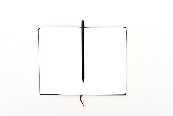Pohled na otevřený Plánovač a tužku izolovaný na bílém - Fotografie, Obrázek
