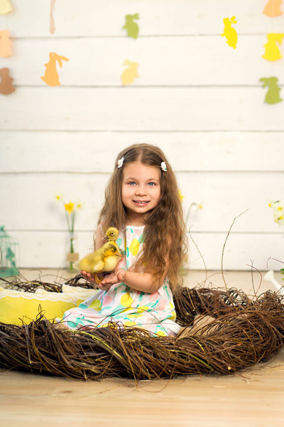 happy little girl in a dress sits in a nest and holds cute fluff - Foto, afbeelding