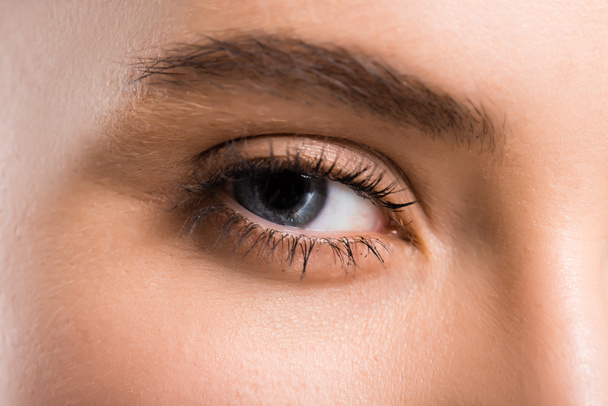 oříznutý pohled ženského modrého oka na kameru  - Fotografie, Obrázek