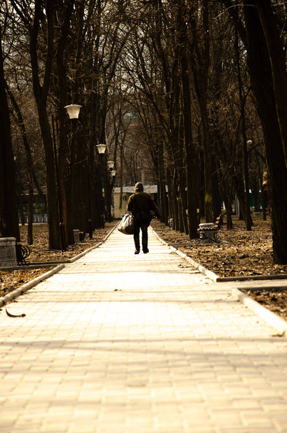 Σοκάκι στο φυσικό πάρκο στο κέντρο της πόλης όπου οι άνθρωποι περπατούν καθημερινά - Φωτογραφία, εικόνα