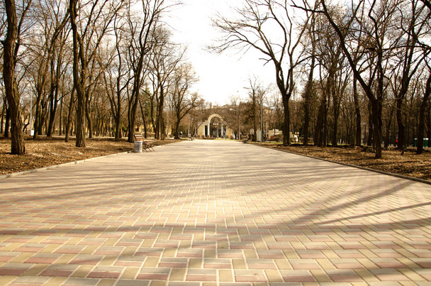 Σοκάκι στο φυσικό πάρκο στο κέντρο της πόλης όπου οι άνθρωποι περπατούν καθημερινά - Φωτογραφία, εικόνα