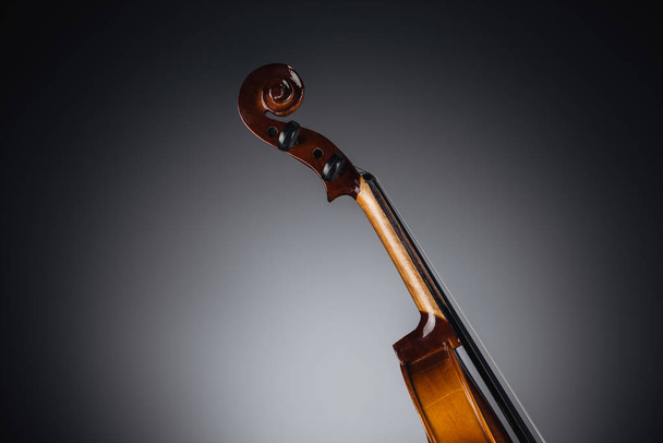 close up of classic violoncello on dark background - Photo, Image